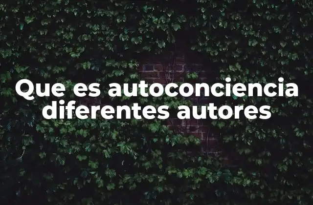 Que es Autoconciencia Diferentes Autores