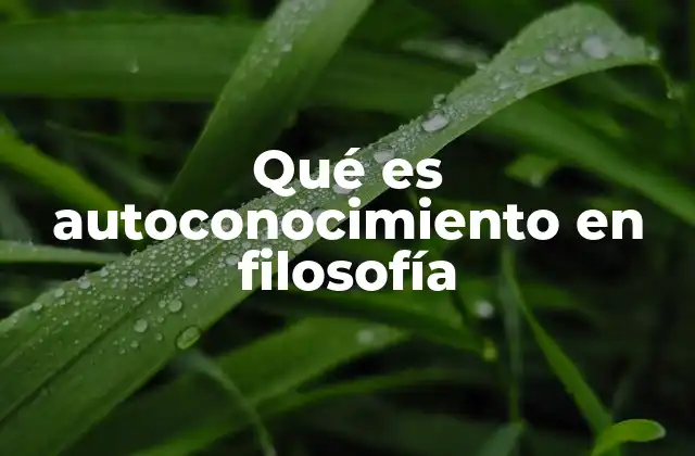 Qué es Autoconocimiento en Filosofía 2 La importancia del autoconocimiento en la filosofía antigua