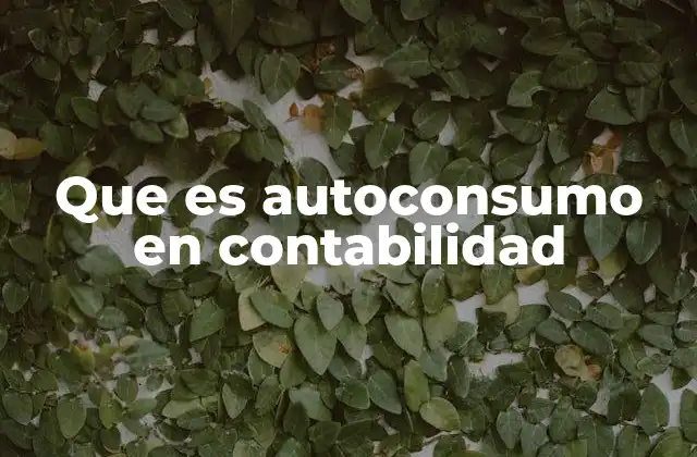 Que es Autoconsumo en Contabilidad
