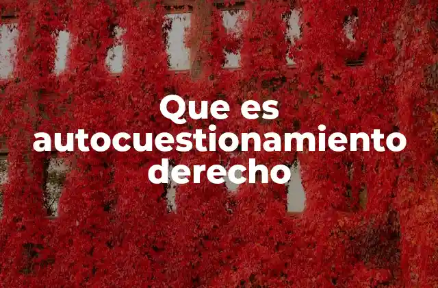 Que es Autocuestionamiento Derecho