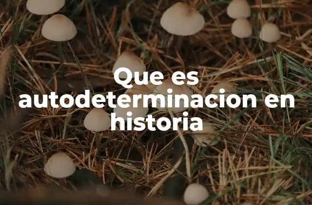 El papel de la autodeterminación en la formación de naciones
