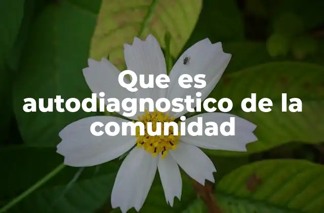 Que es Autodiagnostico de la Comunidad 2 El rol del autodiagnóstico en el desarrollo local