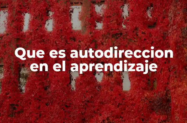 Que es Autodireccion en el Aprendizaje