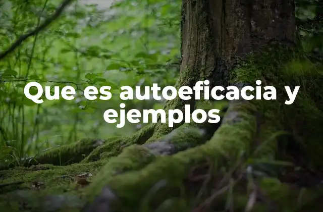 Que es Autoeficacia y Ejemplos