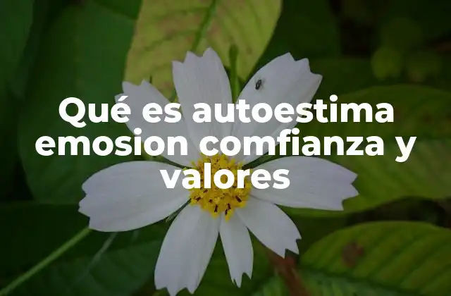 Qué es Autoestima Emosion Comfianza y Valores 2 La interacción entre la autoestima y las emociones