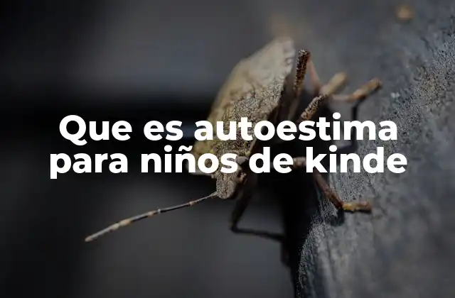 Que es Autoestima para Niños de Kinde
