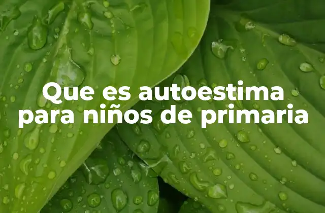 Que es Autoestima para Niños de Primaria