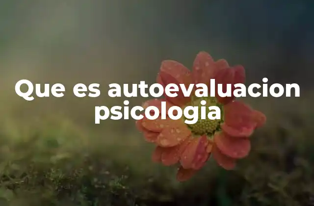 Que es Autoevaluacion Psicologia