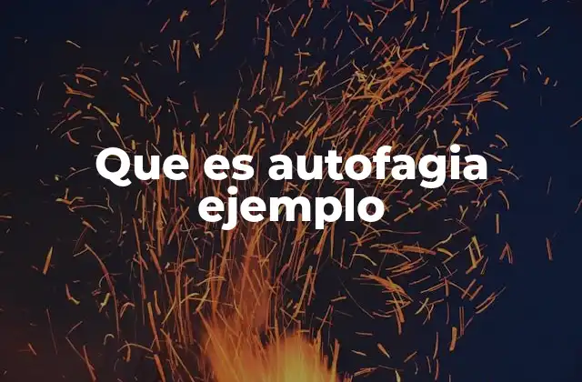Que es Autofagia Ejemplo