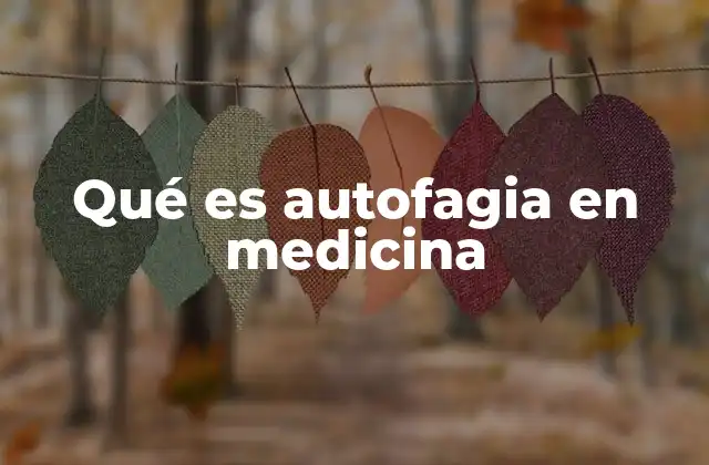 Qué es Autofagia en Medicina