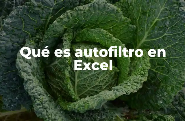 Qué es Autofiltro en Excel