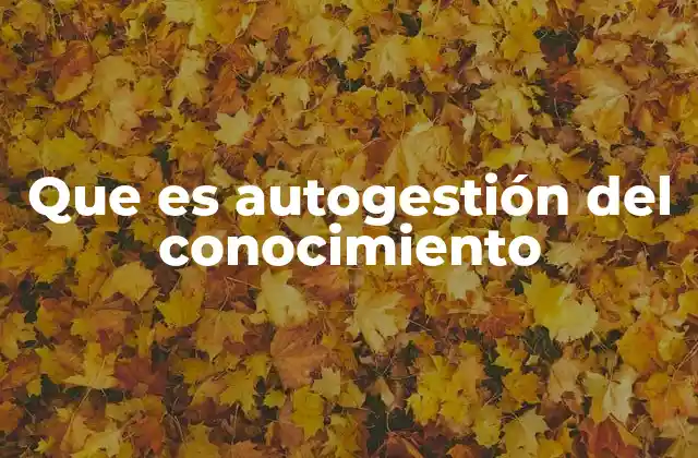 Que es Autogestión Del Conocimiento