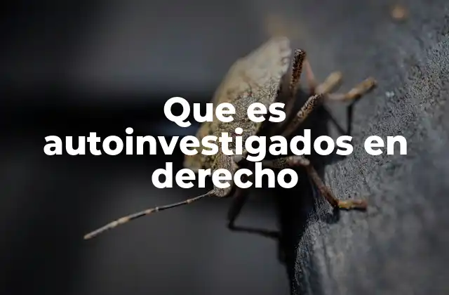 Que es Autoinvestigados en Derecho