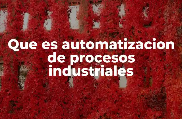Que es Automatizacion de Procesos Industriales