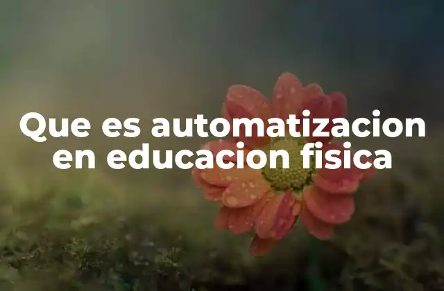 Que es Automatizacion en Educacion Fisica