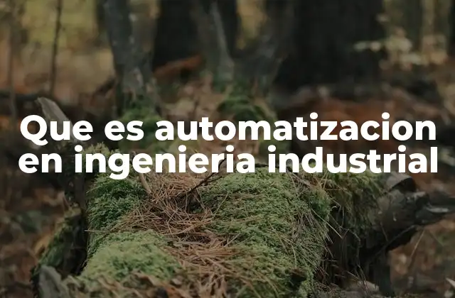 Que es Automatizacion en Ingenieria Industrial