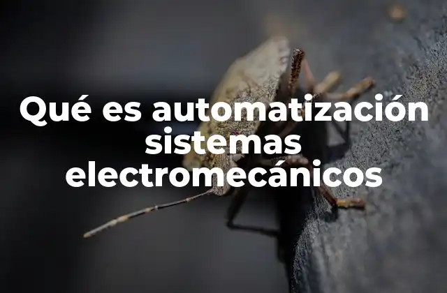 Qué es Automatización Sistemas Electromecánicos