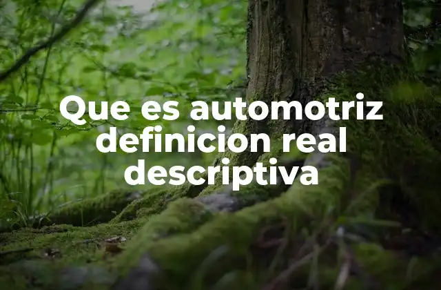 Que es Automotriz Definicion Real Descriptiva