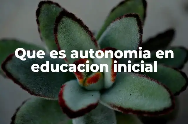 El rol de la autonomía en el desarrollo infantil