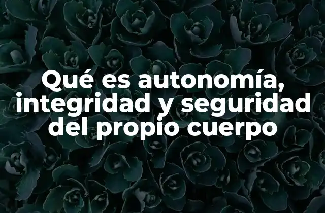 Los derechos básicos del ser humano frente a la violencia y la manipulación
