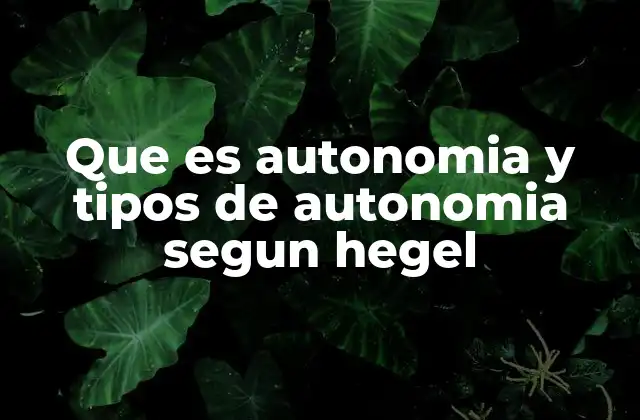 Que es Autonomia y Tipos de Autonomia Segun Hegel