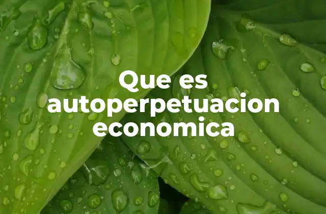 La dinámica interna de los sistemas económicos