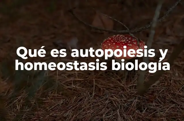 Qué es Autopoiesis y Homeostasis Biología