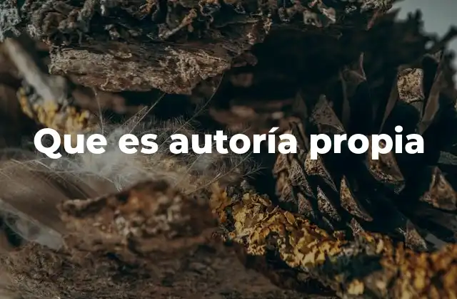 Que es Autoría Propia