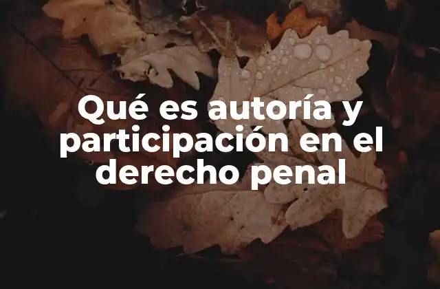 Qué es Autoría y Participación en el Derecho Penal