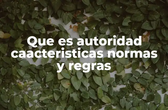 El papel de la autoridad en la organización social