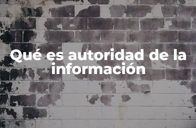 Qué es Autoridad de la Información