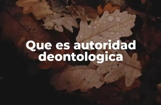 Que es Autoridad Deontologica