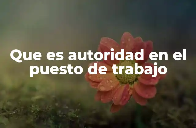 Que es Autoridad en el Puesto de Trabajo