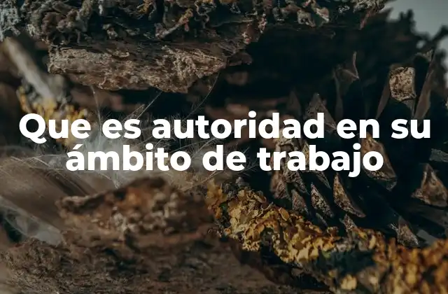 Que es Autoridad en Su Ámbito de Trabajo