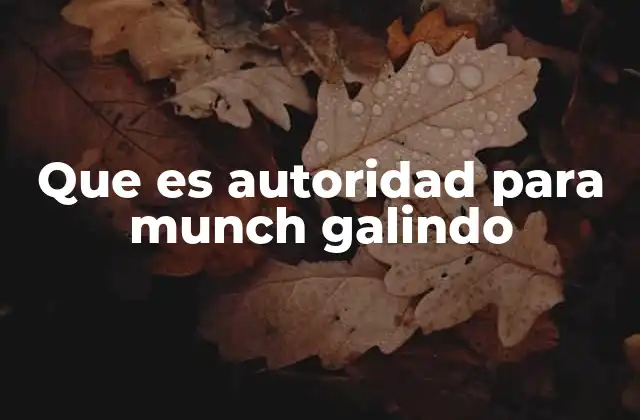 Que es Autoridad para Munch Galindo