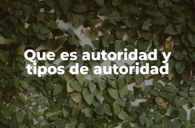 Que es Autoridad y Tipos de Autoridad