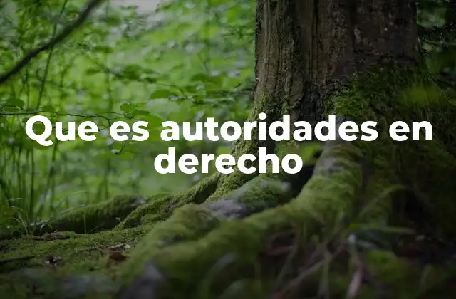 Que es Autoridades en Derecho 2 Las autoridades en el marco del Estado de derecho