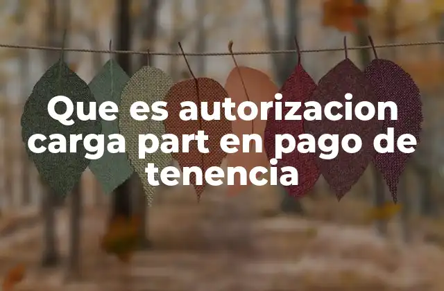 Que es Autorizacion Carga Part en Pago de Tenencia