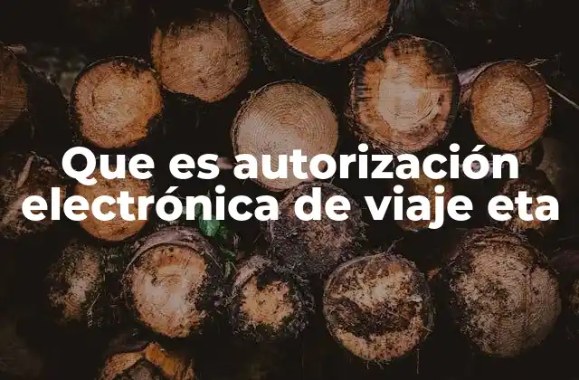 Cómo funciona el sistema de autorización electrónica de viaje