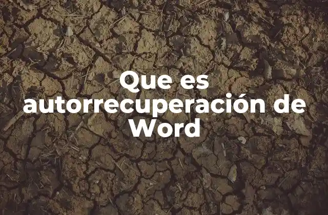 Que es Autorrecuperación de Word