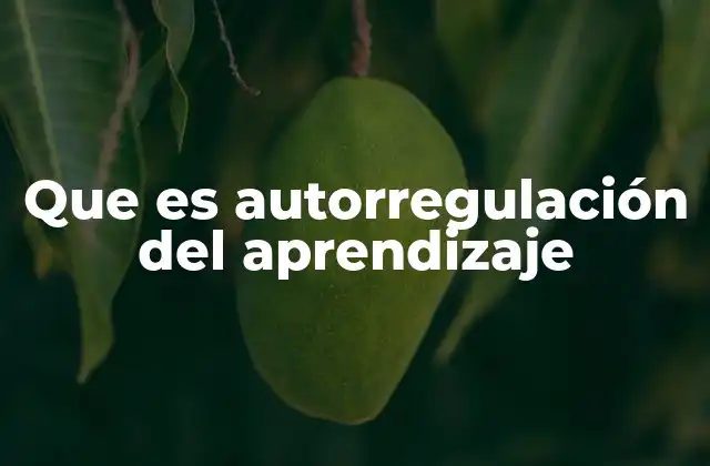Que es Autorregulación Del Aprendizaje