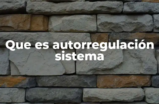 Que es Autorregulación Sistema