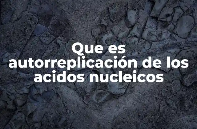 El proceso de autorreplicación en el ciclo celular