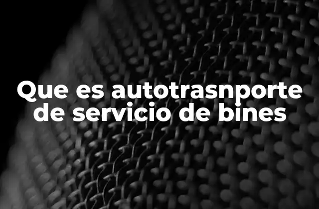 Que es Autotrasnporte de Servicio de Bines
