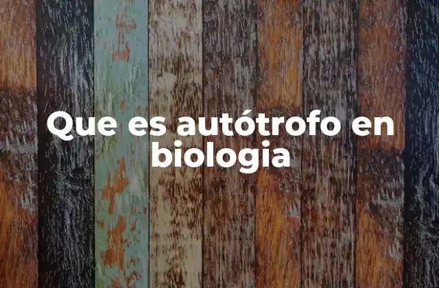 Que es Autótrofo en Biologia