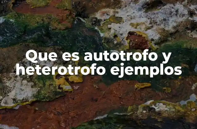 Que es Autotrofo y Heterotrofo Ejemplos