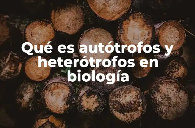 Qué es Autótrofos y Heterótrofos en Biología