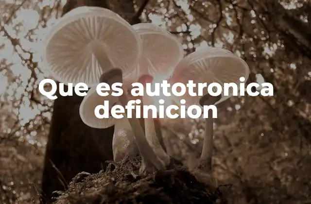 Que es Autotronica Definicion