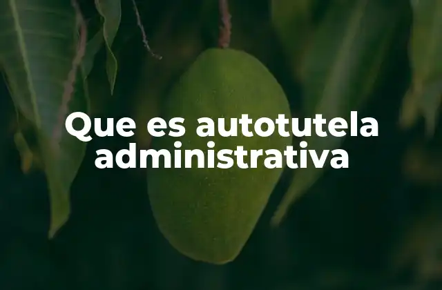 Que es Autotutela Administrativa