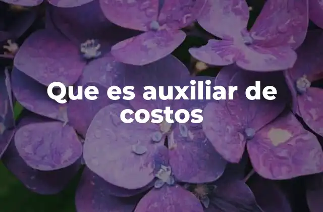 Que es Auxiliar de Costos